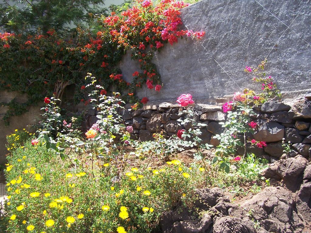 Vila Calaca Funchal  Exterior photo