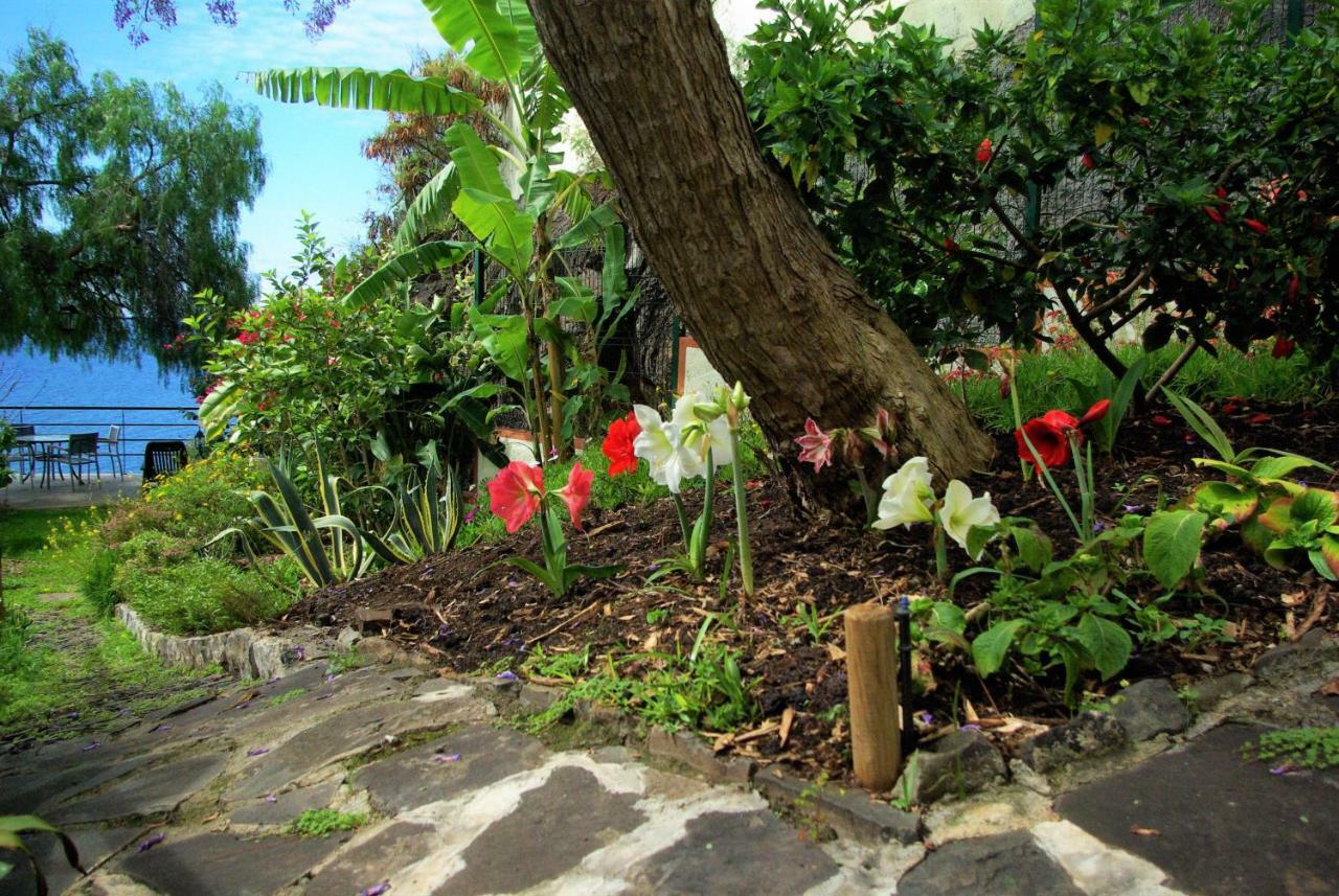 Vila Calaca Funchal  Exterior photo